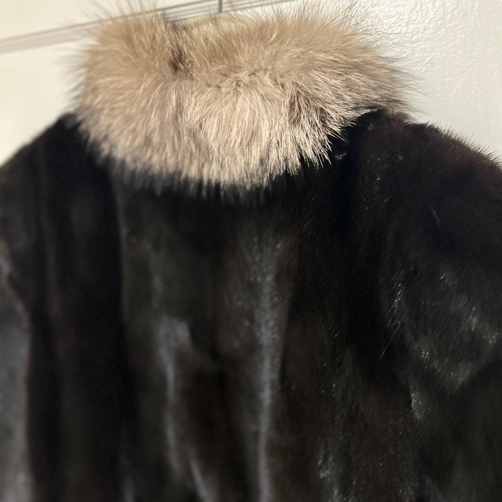 Mink - Picture 6 of 8